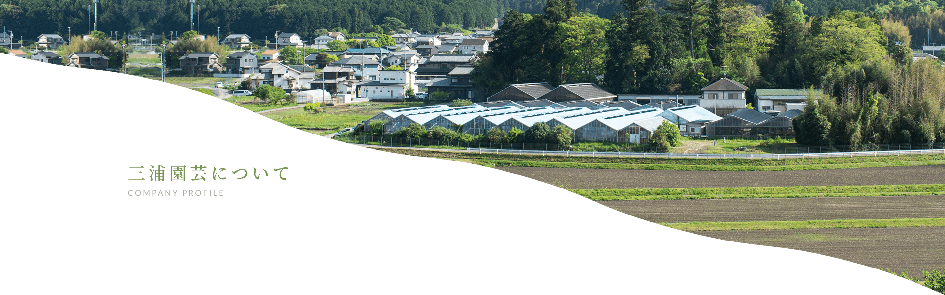 三浦園芸について