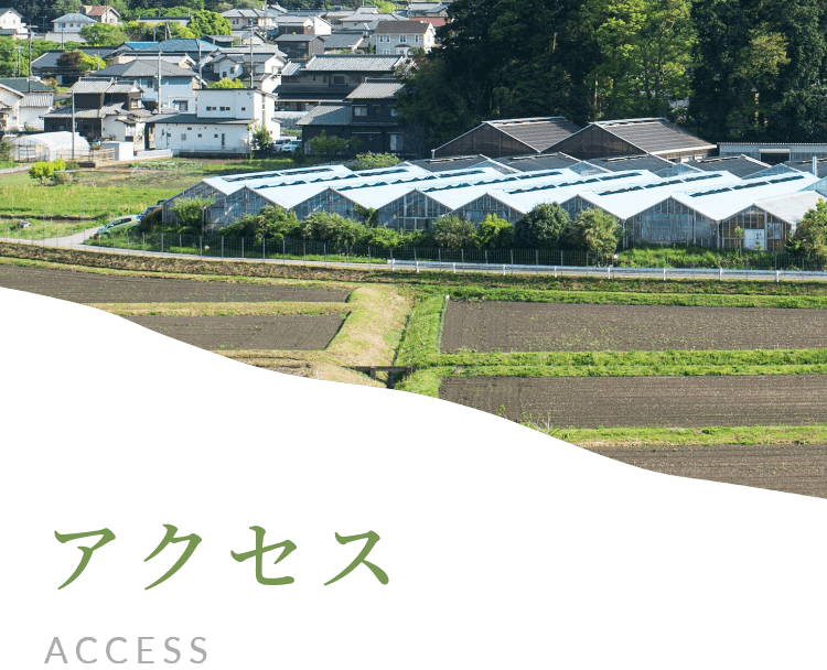 アクセス
