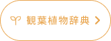 観葉植物辞典