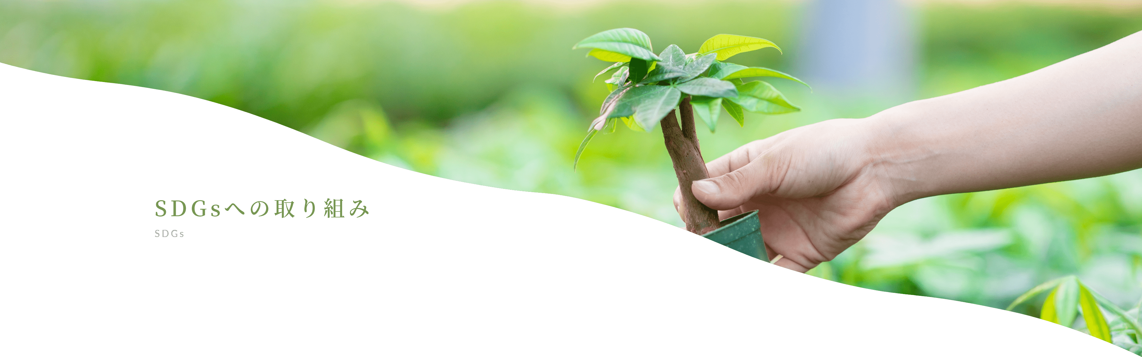 三浦園芸の取り組み