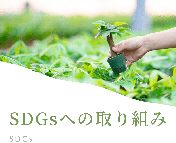 三浦園芸の取り組み