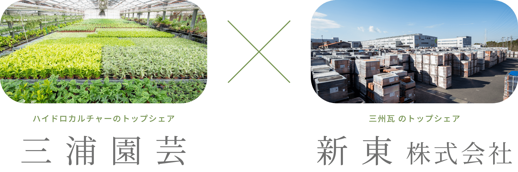 三浦園芸 X 新東株式会社