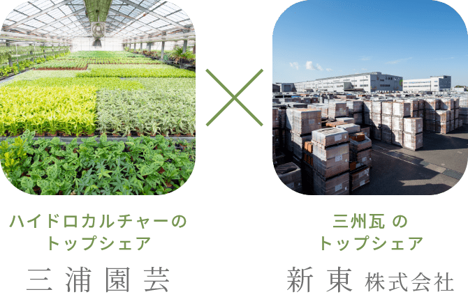 三浦園芸 X 新東株式会社